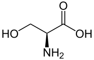 Inhaltsstoffe Wimpernserum - Serin